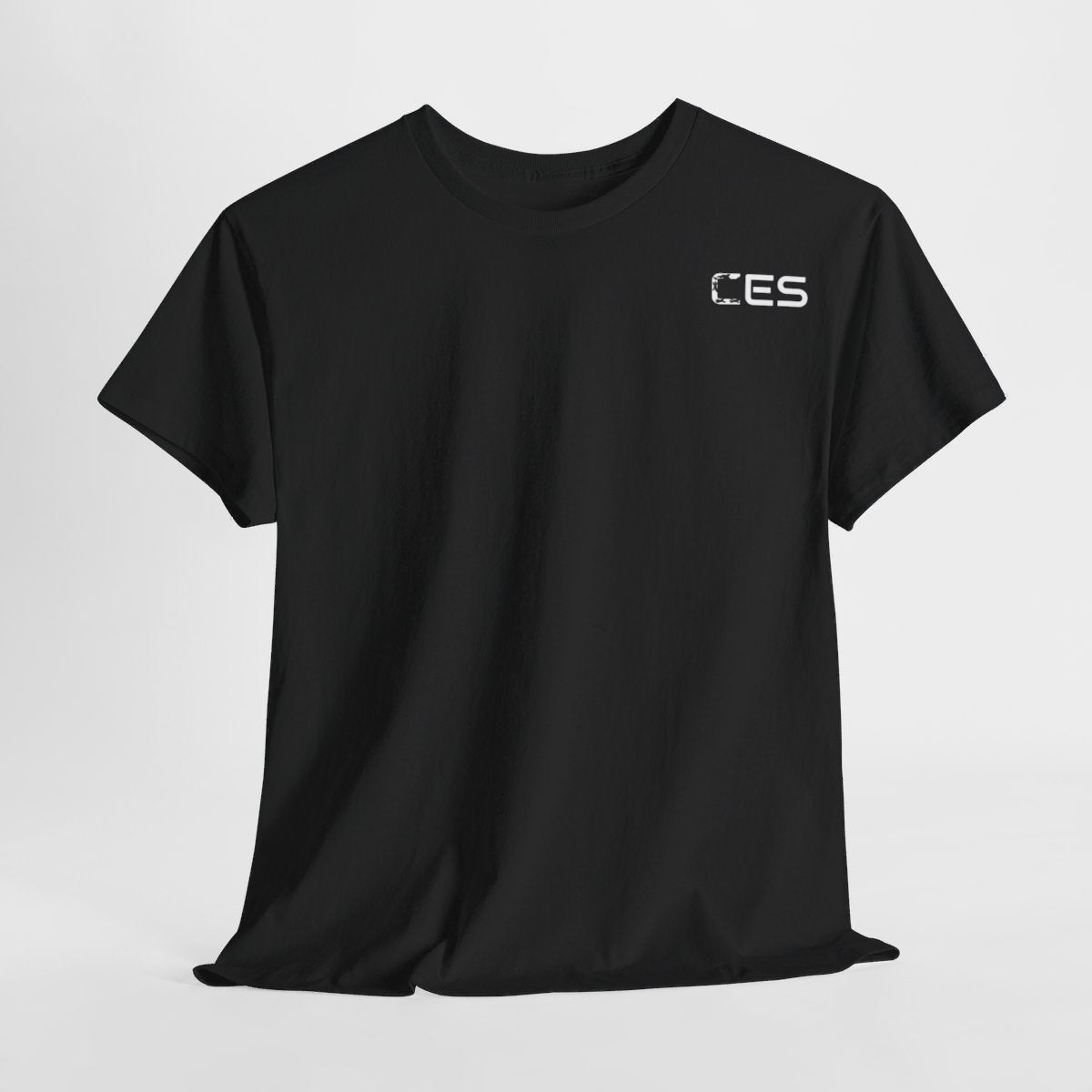 CES DRAIG-5