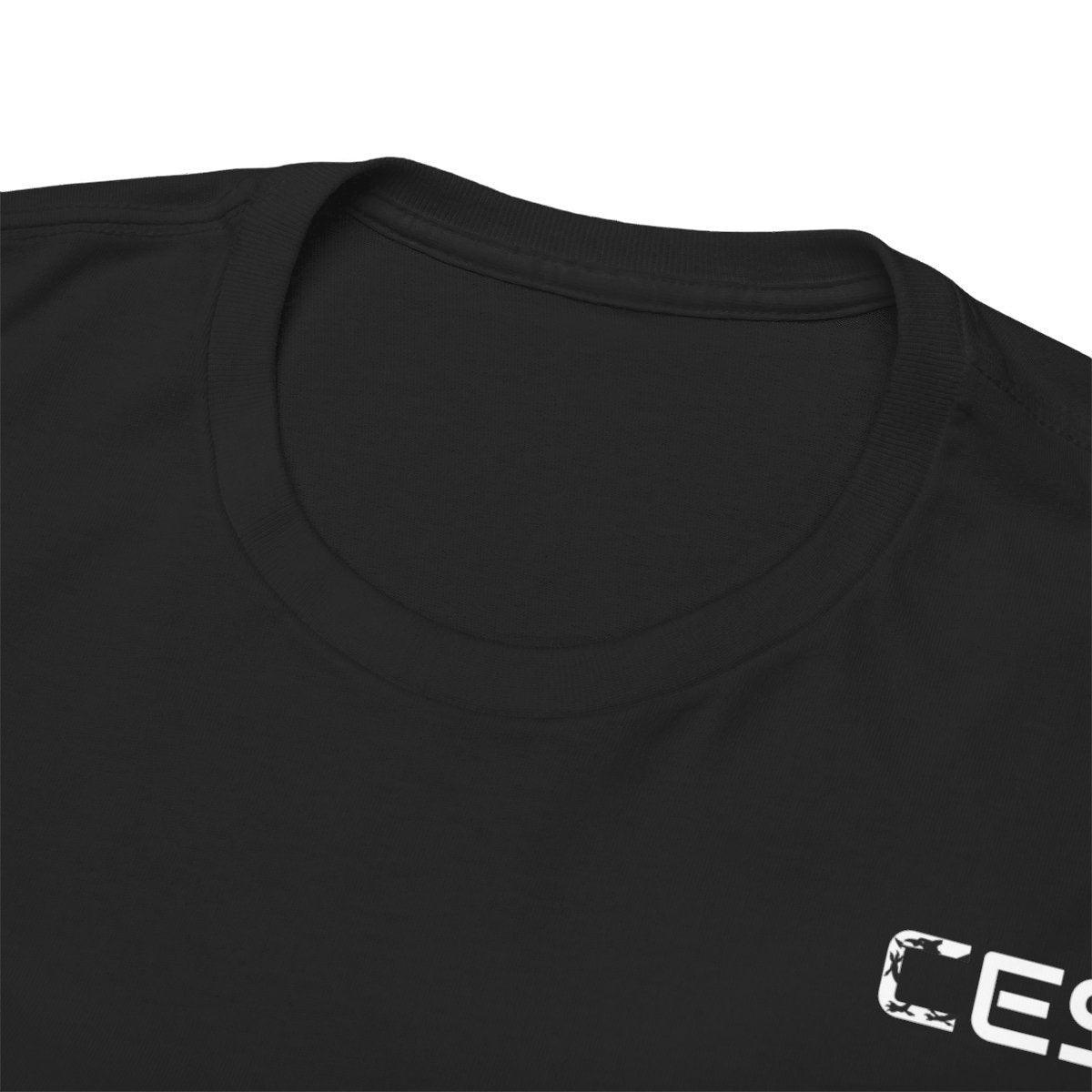CES DRAIG-8